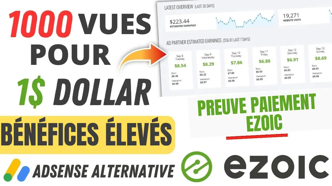 1000 VUE POUR 1dollar ezoic